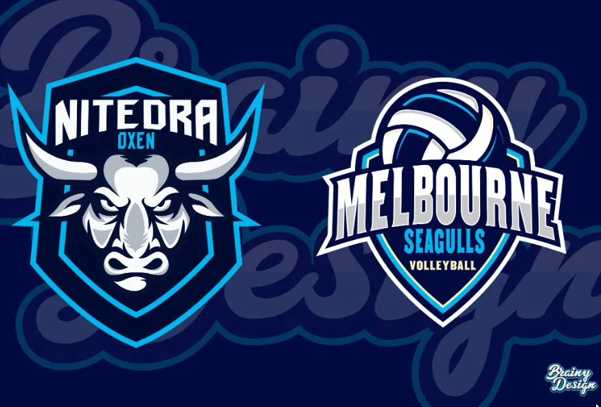 I will design baseball, basketball, football, hockey sports logo