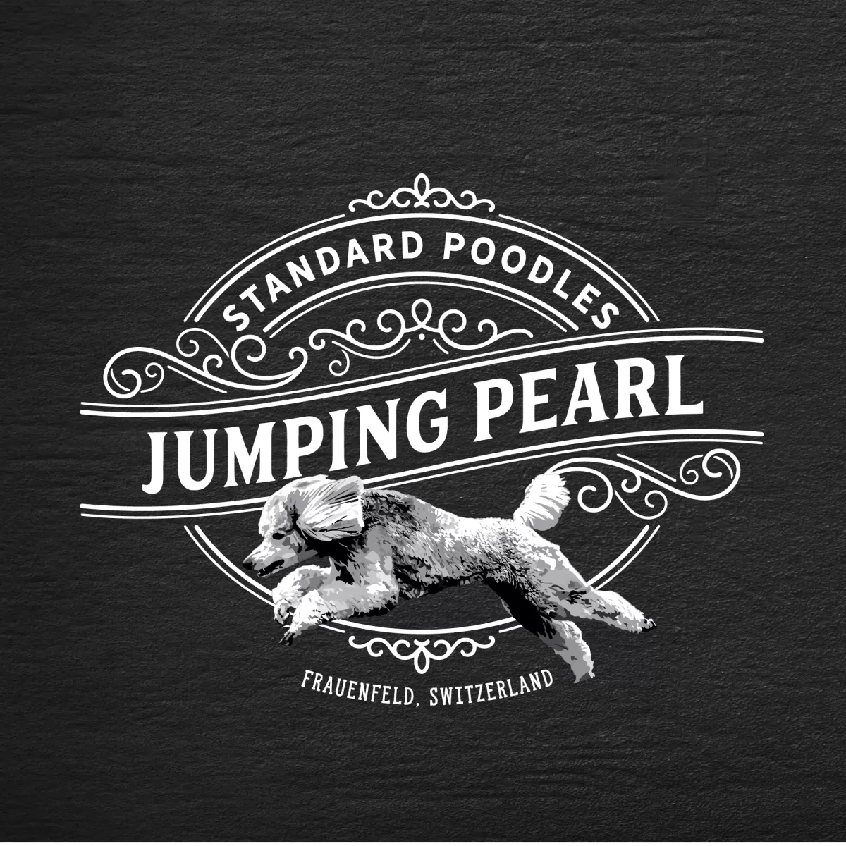 I will create an amazing pets logo design for you  
