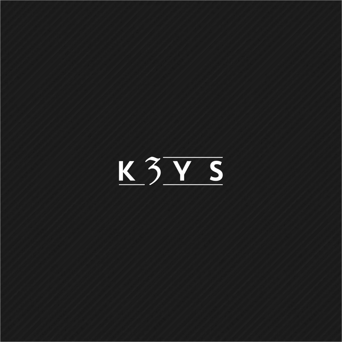 I will give a professional and high quality company logo design