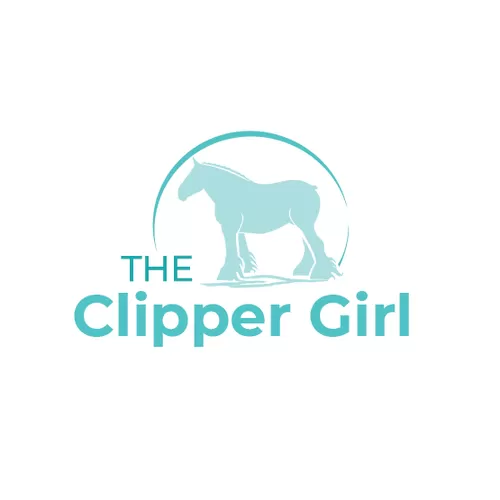 I will make an unique creative horse logo design for you