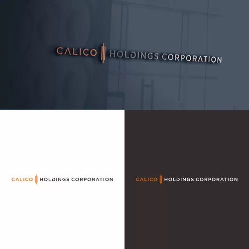 I will do professional business logo design