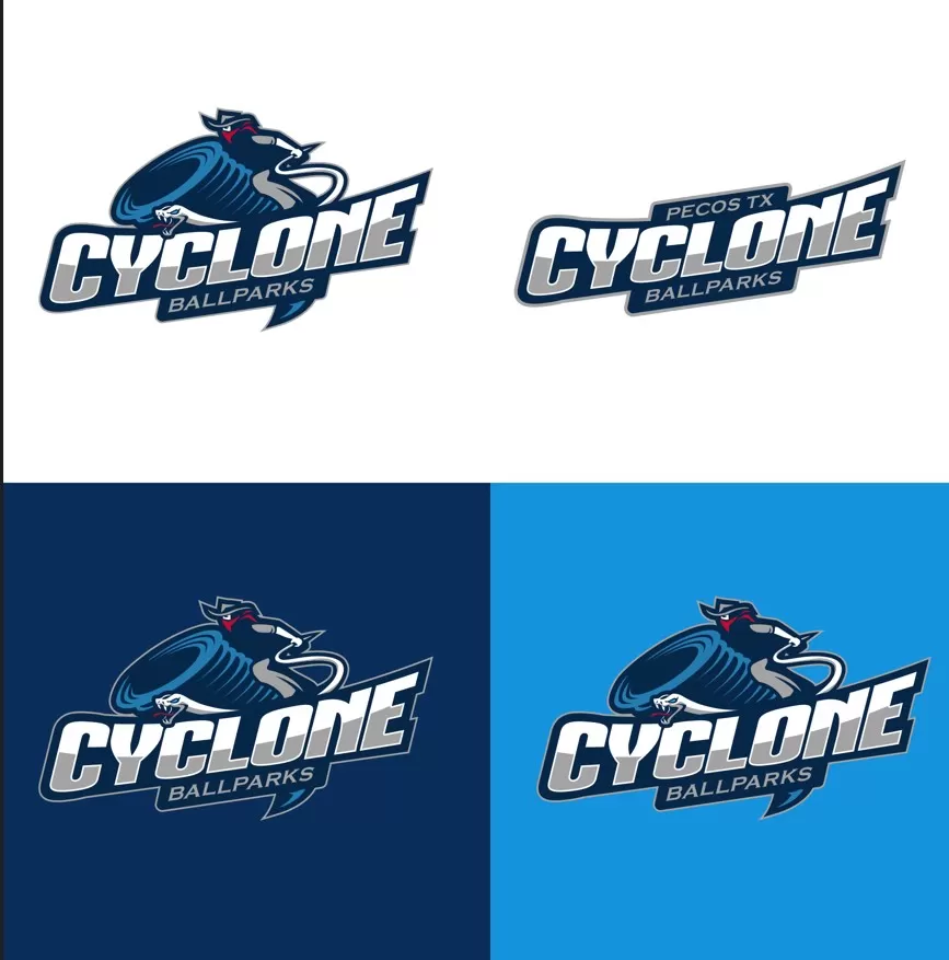 I will design esport, baseball, basketball, football, hockey sports logo