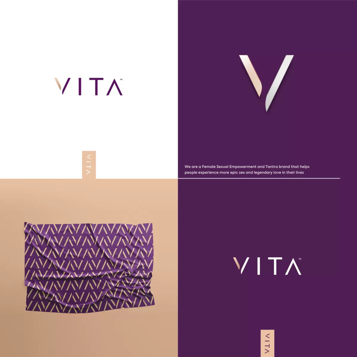 I will give a professional and high quality company logo design