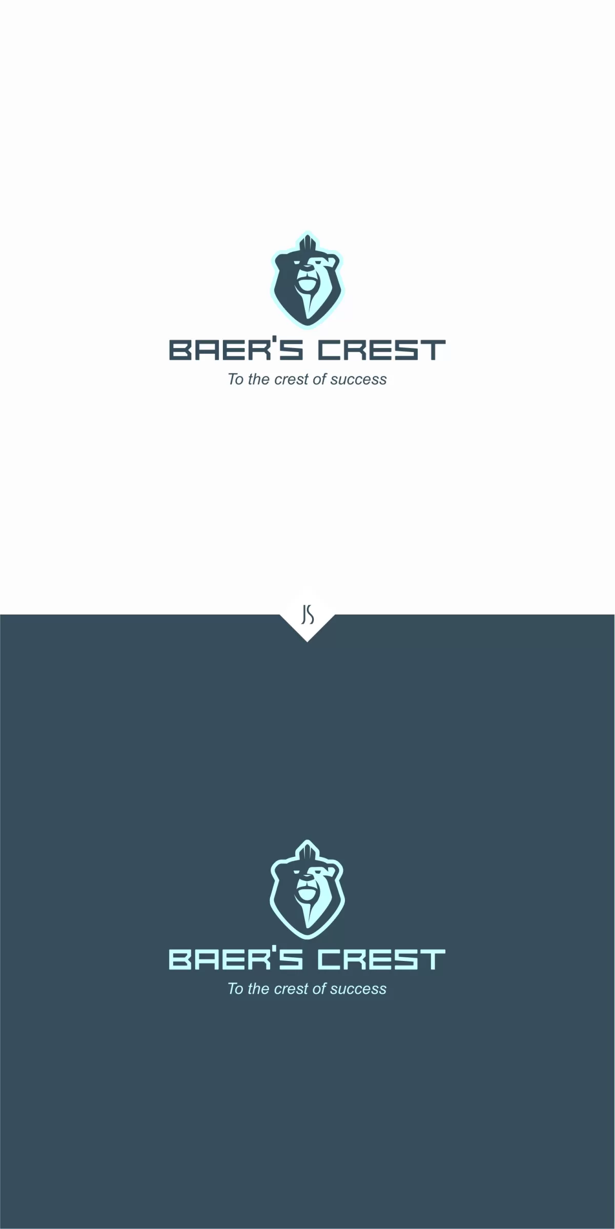 I will design a professional unique modern minimalist business logo for 5 $ 