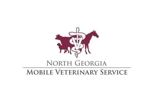 I will give an outstanding animal logo design with express delivery