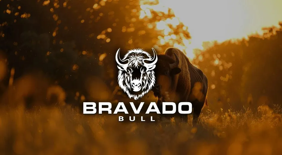 I will do minimalist logo design to elevate your brand identity