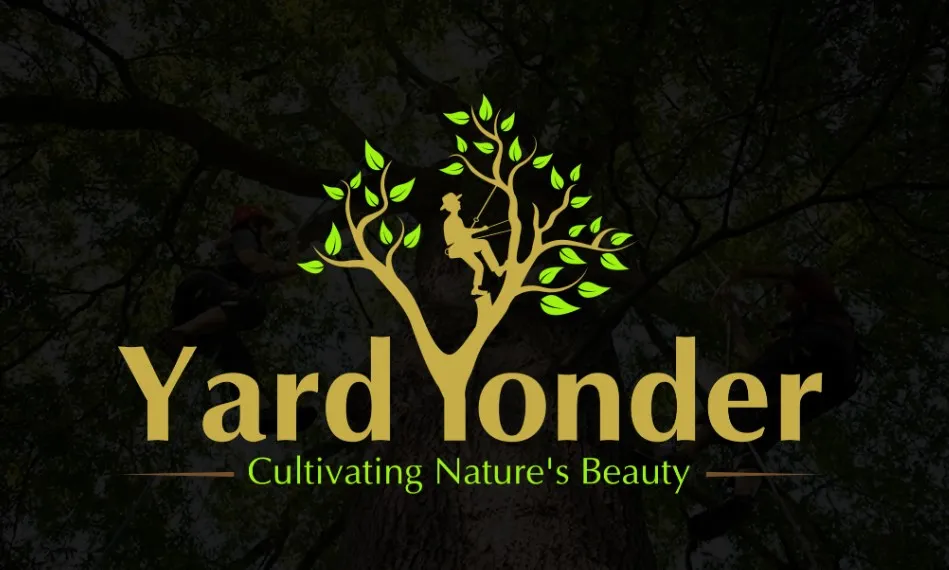 I will do creative minimalist brand logo design with copyright