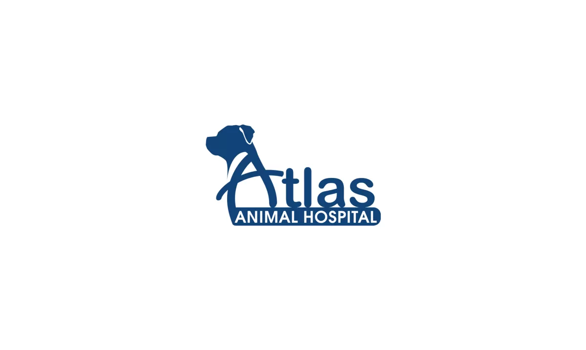 I will design modern animal pet and veterinary clinic logo