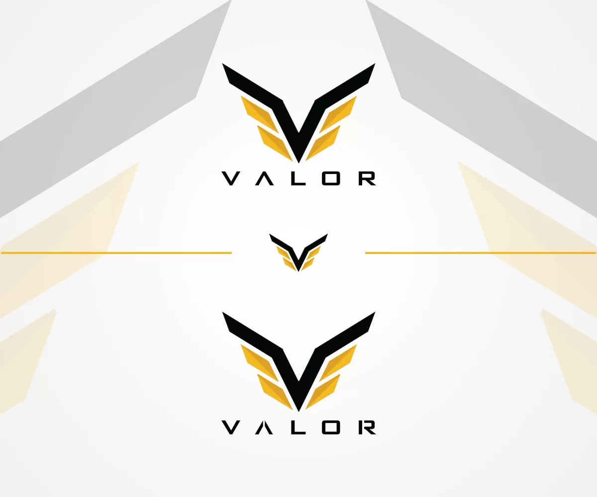 I will design outstanding clothing logo with unlimited revision