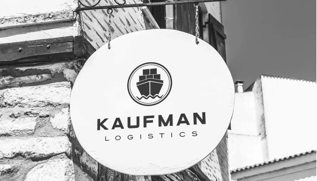 I will create a professional minimalist business logo design
