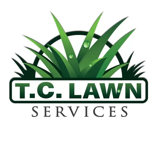 I will give a professional and high quality company logo design