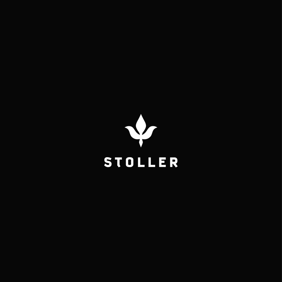 I will design luxury fashion logo with free source file