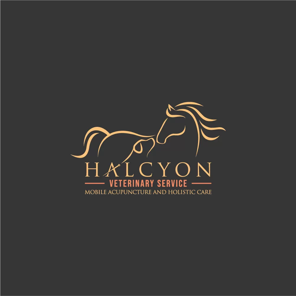 I will do one of a kind equestrian equine horse business logo design