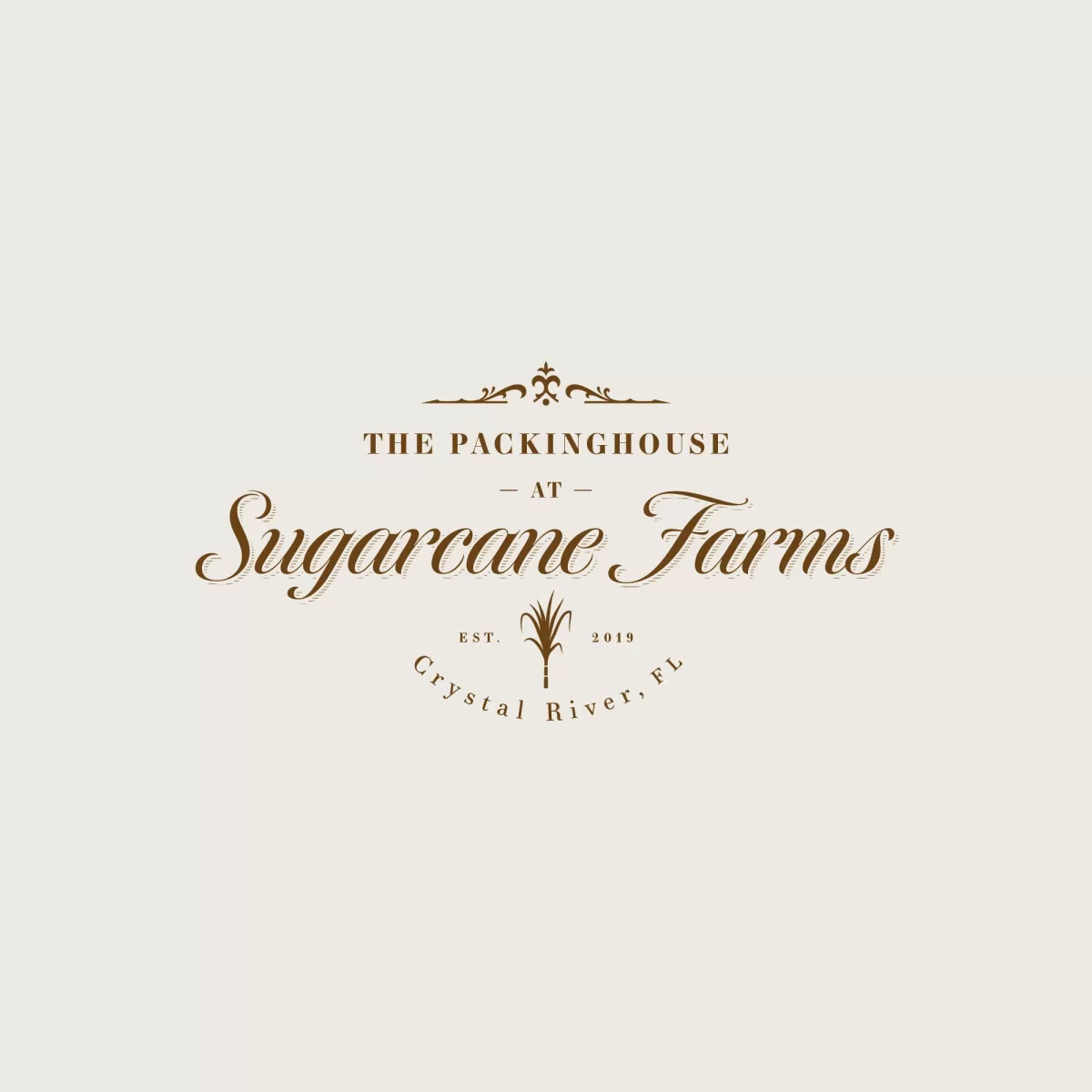 I will create antique and modern logo design for you