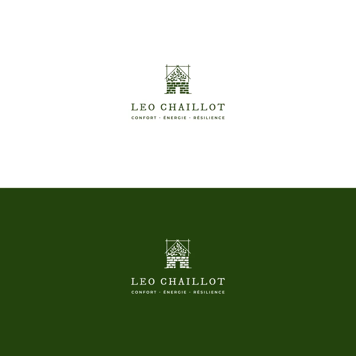 I will do any vector based graphic design on adobe illustrator