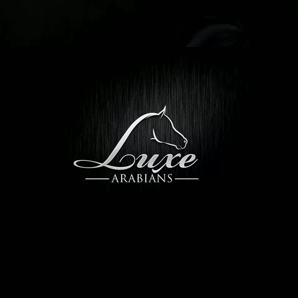 I will do a luxury equestrian equine horse business logo