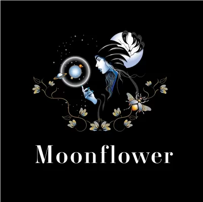 I will create fashion , boutique and clothing logo design
