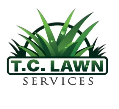 I will give a professional and high quality company logo design