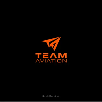I will design amazing airline logo with unlimited revision