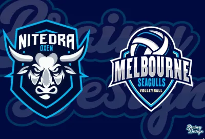 I will design baseball, basketball, football, hockey sports logo