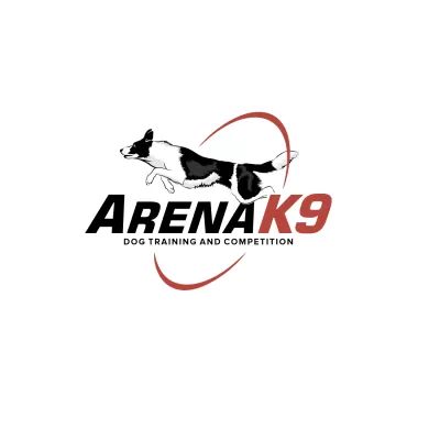 Any graphic work, expert in logo design
