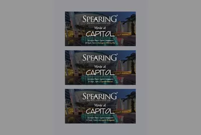 I will design anything in canva, logo, flyer, social media post