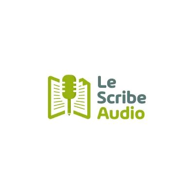 I will professionally design animated audio visualizer