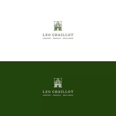 I will do any vector based graphic design on adobe illustrator