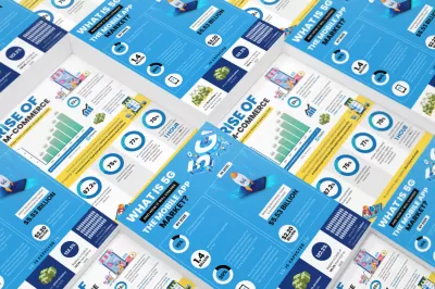 I will create a top quality professional infographic design