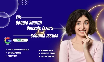 Google search console errors & schema issues, Dillpo