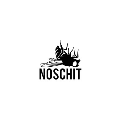I will make custom typography logo