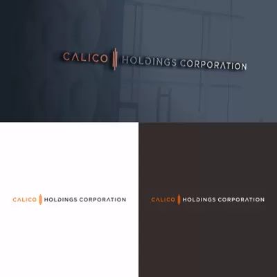 I will do professional business logo design