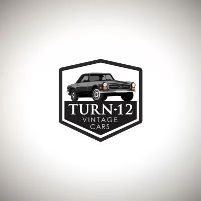 I will create a high quality automotive logo design