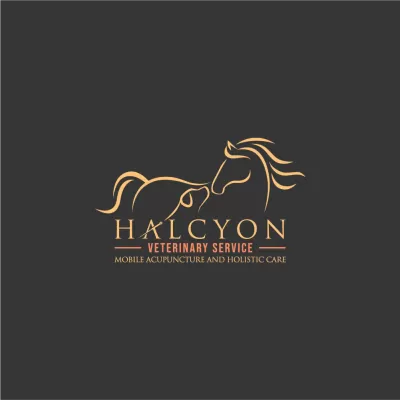 I will do one of a kind equestrian equine horse business logo design