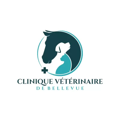 I will create modern health clinic pet care logo