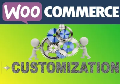 I will customize your wordpress website or develop a plugin