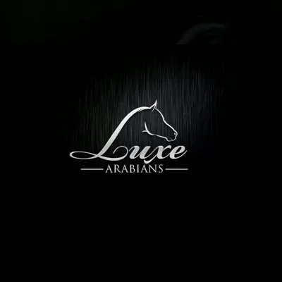 I will do a luxury equestrian equine horse business logo