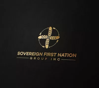 I will do consulting or financial Business Logo design For your company