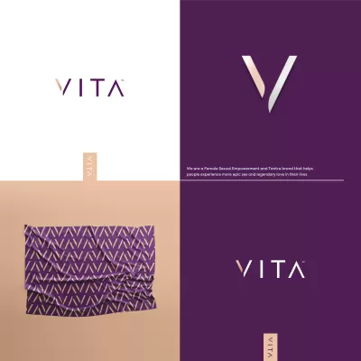 I will give a professional and high quality company logo design
