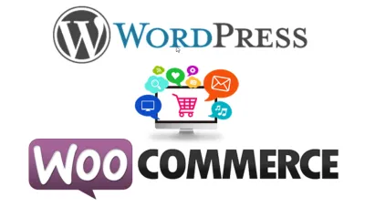 I will fix wordpress errors, issues, installation, theme setup