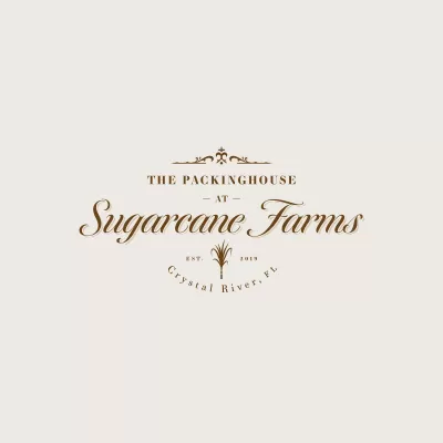 I will create antique and modern logo design for you