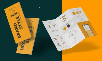 I will do professional logo design and brand identity with complete brand style guide