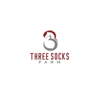 I will do a luxury equestrian equine horse business logo