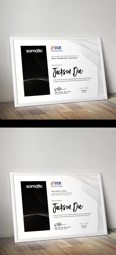 I will create amazing infographic for you