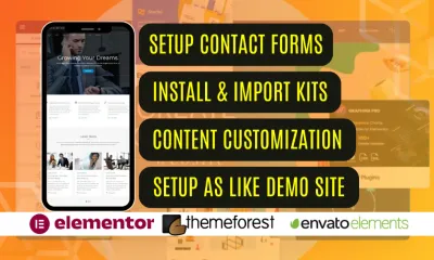 I will install and setup demo of any wordpress theme, elementor kit