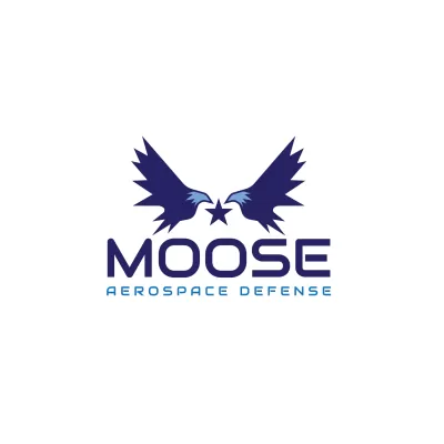  I  Well create an unique and beautiful aerospace logo for you