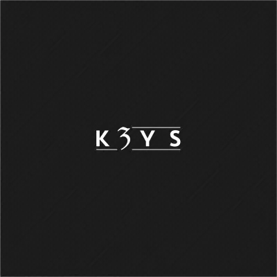 I will give a professional and high quality company logo design