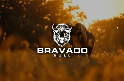 I will do professional minimalist logo in 24 hours
