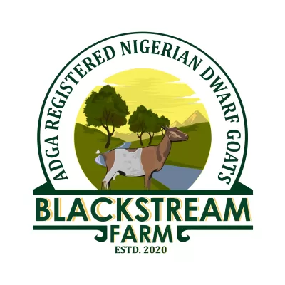 I will design original wonderful information farm logo