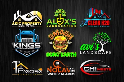 I will do stunning business logo design, redesign and branding